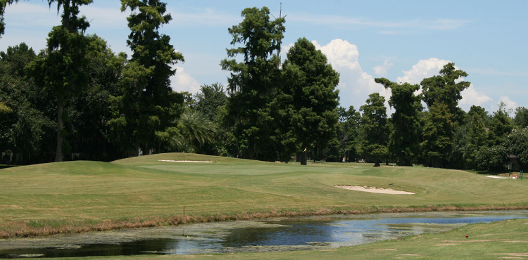 golf course green